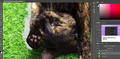 جداکردن پس زمینه تصویر در فتوشاپ